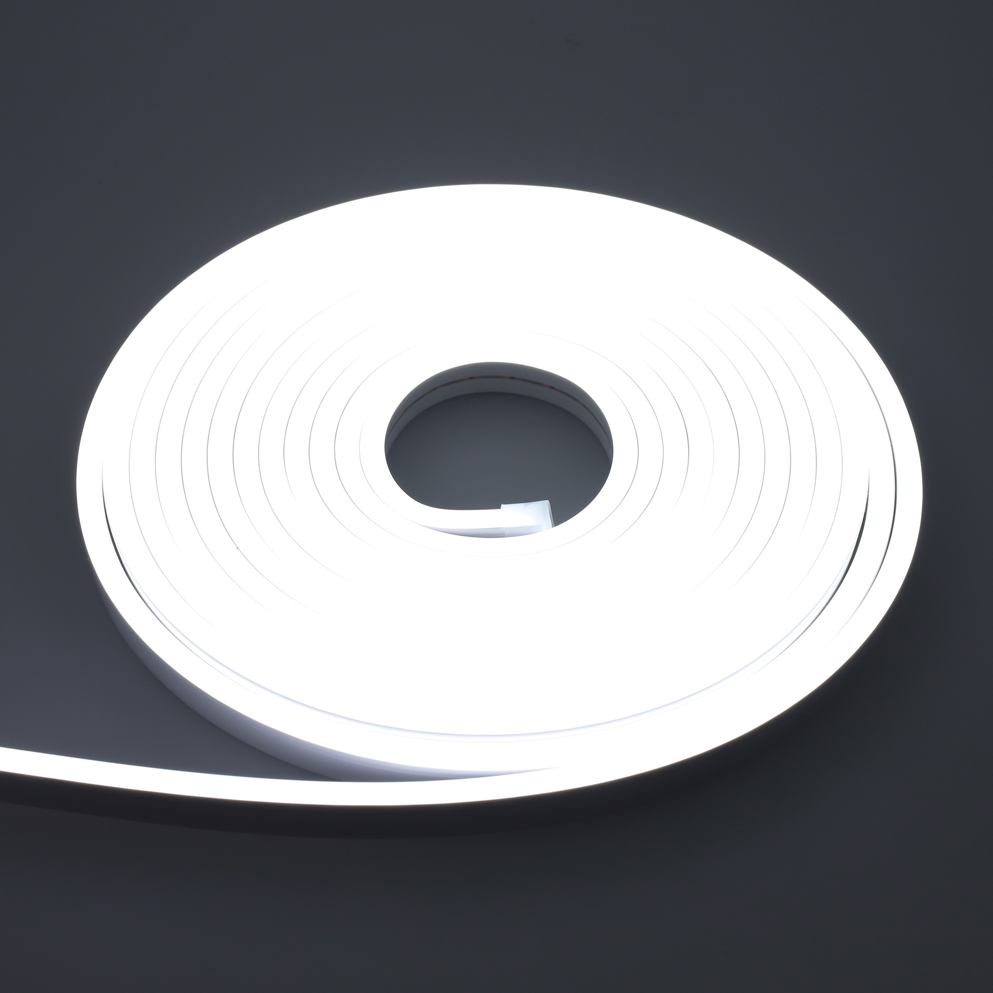 Néon flexible LED Blanc Froid