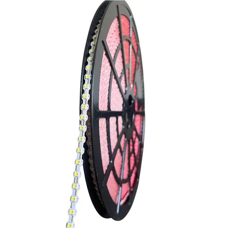 LED exteriores IP67 DC12V para Neón Flex